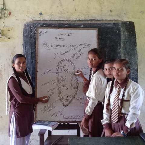 Pre-Primary Learning